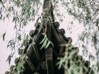 长宁路：闹市中辟幽静，这里有片古建筑群值得看 | 百年·百街⑤