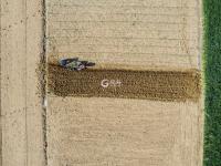 动车穿过西海岸麦田，驶向生机勃勃的春天