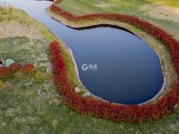 “红项链”惊艳！西海岸这个公园美如画卷