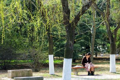 山东科技大学2021年“校友年度小额捐赠” 暨70周年校庆捐赠倡议书
