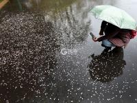 花伴雨！这是走进童话世界里了吧