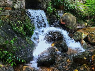 周知！5月6日起，崂山巨峰游览区这些路段将封闭，为期40天