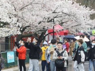 “五一”假期明日开启，各地部署严防“人从众”，防“踩坑”指南来了！