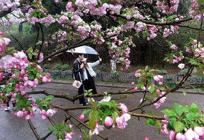 花伴雨！这是走进童话世界里了吧