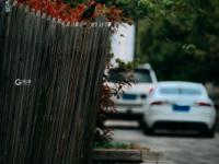 长宁路：闹市中辟幽静，这里有片古建筑群值得看 | 百年·百街⑤