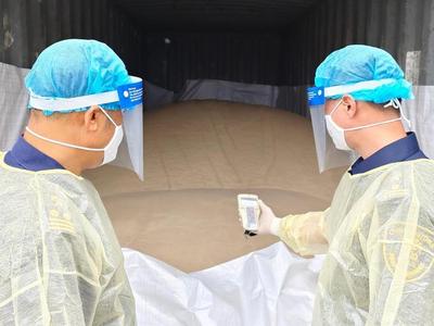 放射性超标近7倍！1006吨进口锆英砂被海关截获