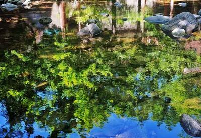 又美成了油画！夏日北九水的色彩太治愈