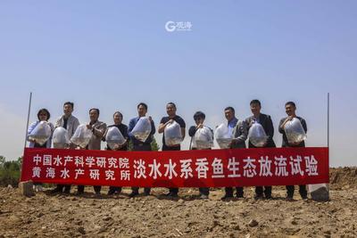 中秋就能见面！崂山第一鱼，2000尾仙胎鱼苗放流水系