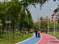 大卢河入海口、城市阳台…西海岸隐珠街道20张美图，约么