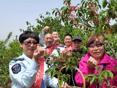 吃樱桃、住民宿……他们为青岛空巢老人过了一个难忘的母亲节
