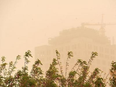 沙尘来了！青岛今日“气质”变差，本周空气质量以良至轻度污染为主