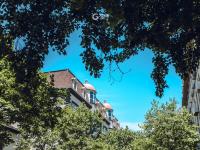 馆陶路：墙绘、建筑、咖啡馆……老街也有新韵味 | 百年·百街⑨