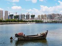 大卢河入海口、城市阳台…西海岸隐珠街道20张美图，约么