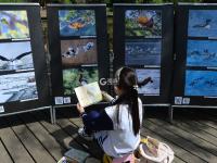 爱鸟、护鸟、画鸟……看孩子们用这种方式守护鸟类家园