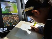 爱鸟、护鸟、画鸟……看孩子们用这种方式守护鸟类家园