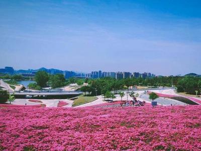 入园停车免费！水舞秀、风车长廊、花海……青岛世博园等你来