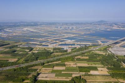 实拍：西海岸海参养殖池，沧海变“桑田” 宛如调色盘！