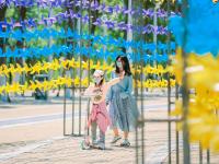 赏花风车季！10万只彩色风车等你来打卡