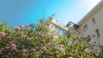 陵县支路：招牌式红瓦绿树蓝天！漫画风的老街小景 | 百年·百街⑩