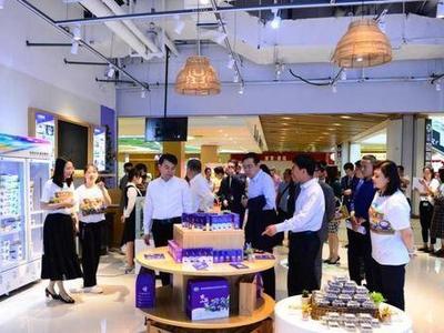 开展蓝莓艺术绘画、宝山蓝莓DIY等系列活动；宝山蓝莓文化节启幕