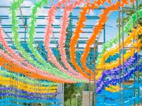 赏花风车季！10万只彩色风车等你来打卡