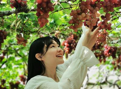 平度红色旅游“热起来”五一首日接待游客2.1万人