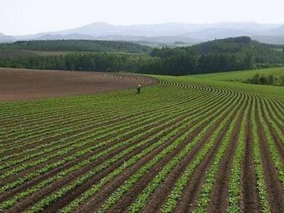 胶东半岛全食材产业链项目年内投产，可实现每天30万人的食材供应