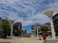 大卢河入海口、城市阳台…西海岸隐珠街道20张美图，约么