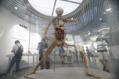 神奇博物馆在哪里？跟着观海“云逛展”吧（2）