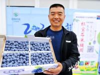 “黄岛蓝莓季”正式开嗨！小小果子玩出大产业