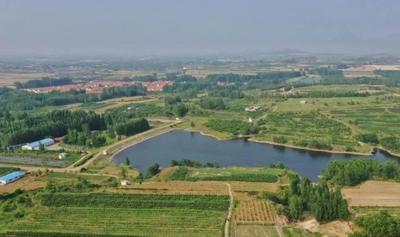 能吃又好玩！青岛这个美丽小镇的第一批樱桃熟了，快来采摘吧