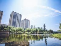 金水路：现代化园区与山河美景的混搭 | 百年·百街⑧