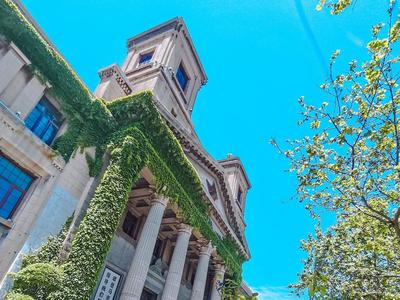 馆陶路：墙绘、建筑、咖啡馆……老街也有新韵味 | 百年·百街⑨