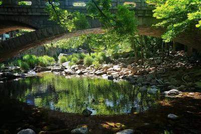 又美成了油画！夏日北九水的色彩太治愈