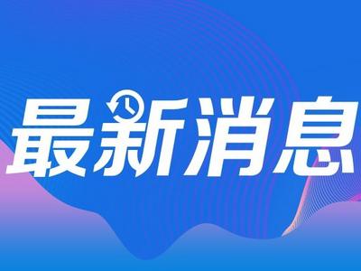 女孩暴打虐猫男获刑，律师：人的生命健康权高于动物