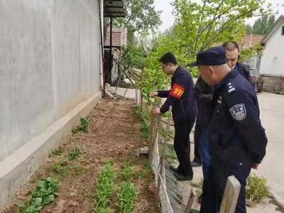 青岛一男子种30多棵罂粟被警方查获，辩称是用来喂鸡！警方发出提醒！