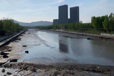 回头看|建立长效机制、专人包靠管护……尼姑山河整改见成效