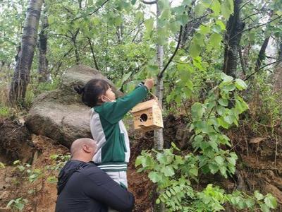 青少年志愿者安装100座鸟巢，城阳区举行为鸟安家志愿行动