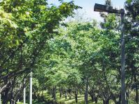 金水路：现代化园区与山河美景的混搭 | 百年·百街⑧