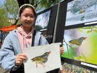 爱鸟、护鸟、画鸟……看孩子们用这种方式守护鸟类家园