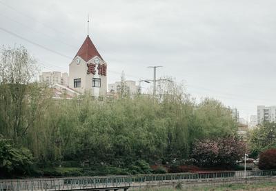 低饱和养眼壁纸！来看张村河畔的清新夏意