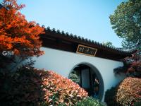 看！牡丹与园林的绝妙搭配都在这儿|云游青岛