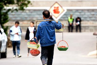 等到了！五月的青岛终于开启“樱桃时间”