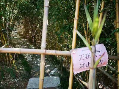 观海帮问 | 竹子庵公园小路何时修好？管理人员：正排除安全隐患，年内开放