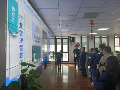占路经营、跨门店经营、流浪犬……“星期三问城管”聚焦崂山区市容秩序