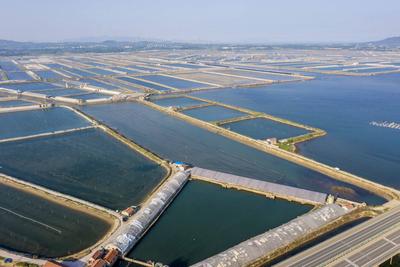 实拍：西海岸海参养殖池，沧海变“桑田” 宛如调色盘！