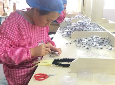 平度假睫毛电商企业转跨境销售，日销售额达2000多美金