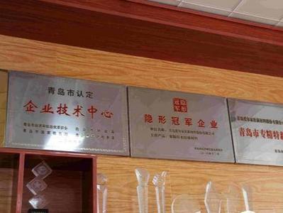 全市第一！城阳区7家企业入选国家级重点“小巨人”企业名单