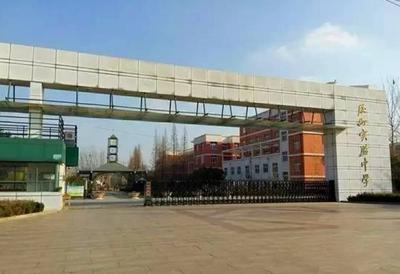 “领军计划班”、“上合班”……胶州公布2021普高招生计划，共招7140人！