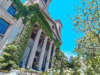 馆陶路：墙绘、建筑、咖啡馆……老街也有新韵味 | 百年·百街⑨